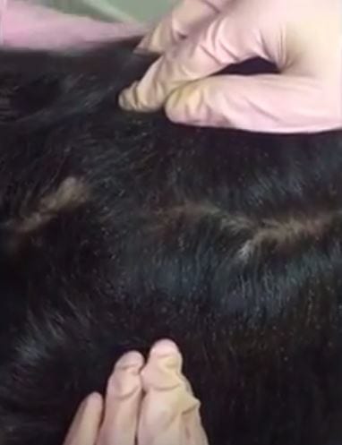 32116unilad-imageoptim-scalplice