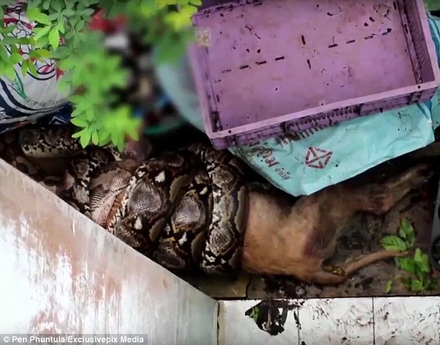 392f781300000578-3826721-image-a-27_1475830188453