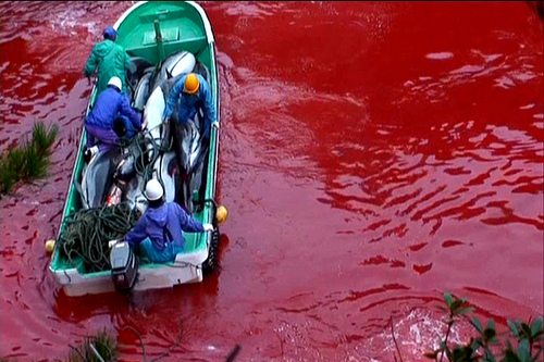 4318135105_5858c81ccd