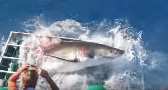 screen-shot-2016-10-15-at-2-51-16-pm