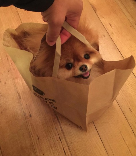 screen-shot-2016-10-16-at-3-39-48-pm