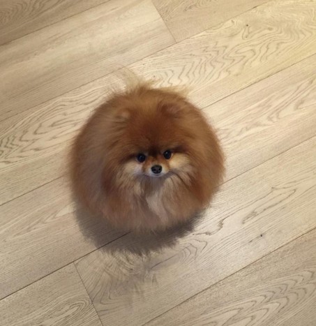 screen-shot-2016-10-16-at-3-39-55-pm