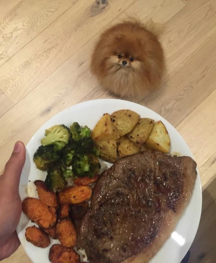 screen-shot-2016-10-16-at-3-40-11-pm