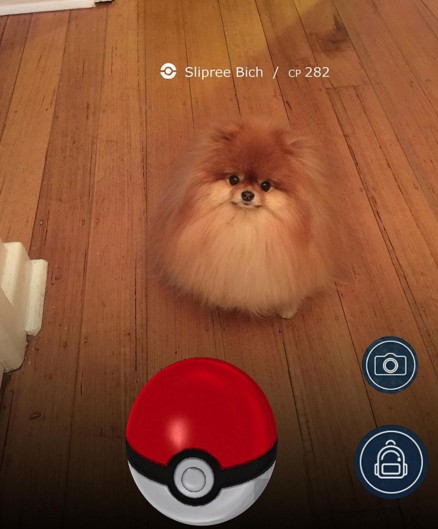 screen-shot-2016-10-16-at-3-40-18-pm