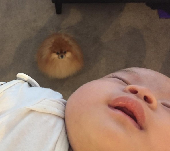 screen-shot-2016-10-16-at-3-40-52-pm