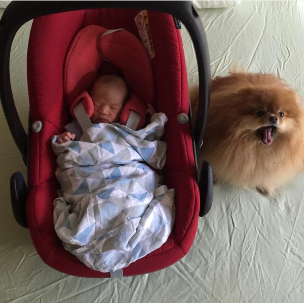 screen-shot-2016-10-16-at-3-41-11-pm