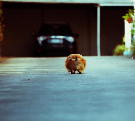 screen-shot-2016-10-16-at-3-42-40-pm