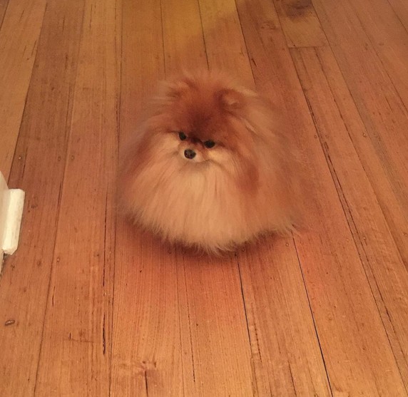 screen-shot-2016-10-16-at-3-42-45-pm