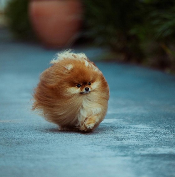 screen-shot-2016-10-16-at-3-43-38-pm