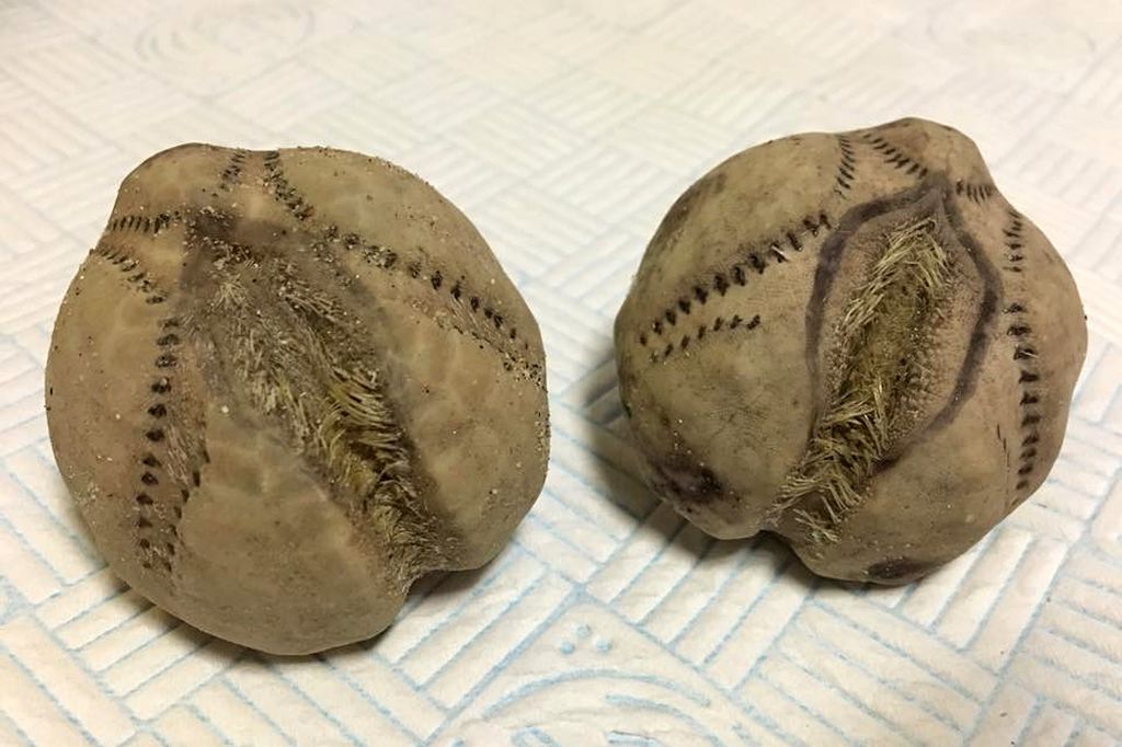 ad216354621pic-apex-1808201