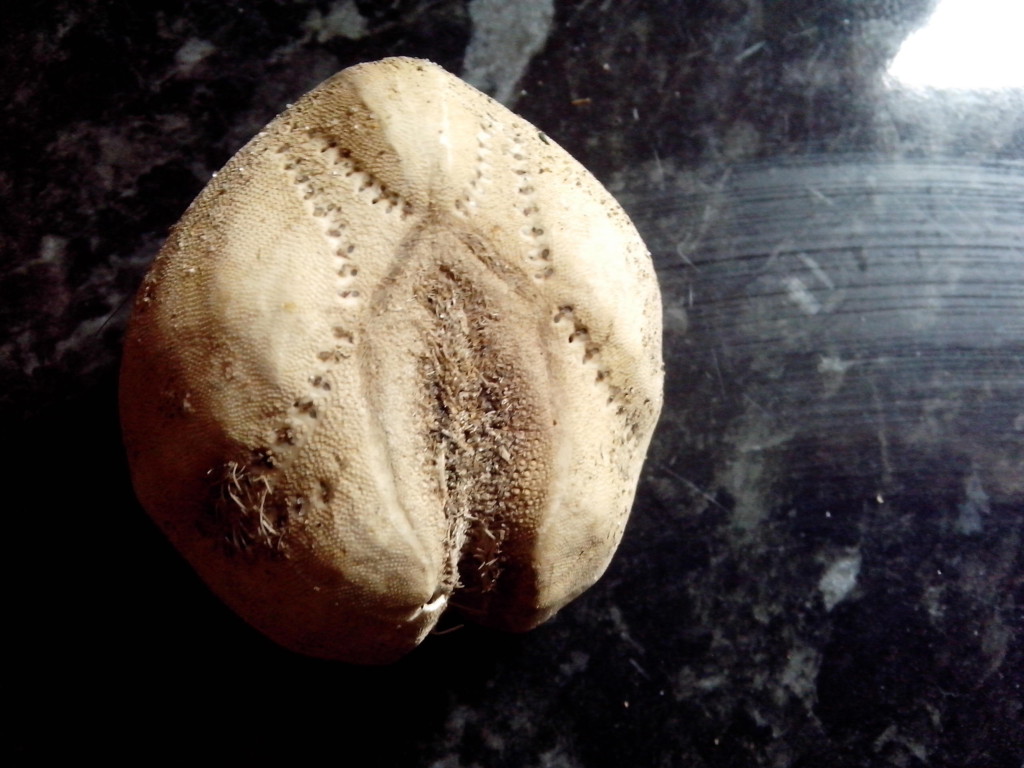 f768417820ca4e6d4af5ef0cf9c84ed3