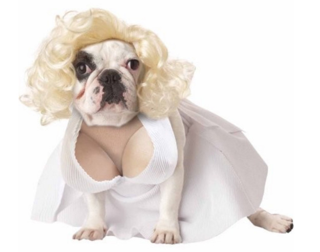 sub-buzz-13863-1475780113-2_meitu_1