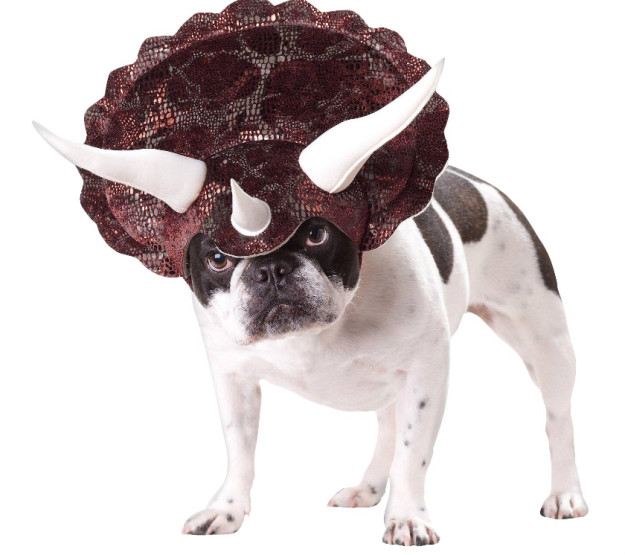 sub-buzz-15386-1475866034-11_meitu_2