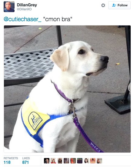 sub-buzz-5118-1476726567-1