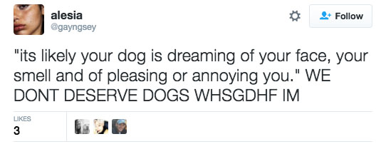 sub-buzz-5308-1476978541-1