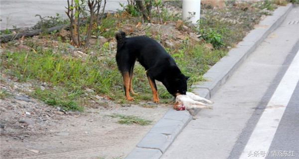 1193000570beca3cdebf