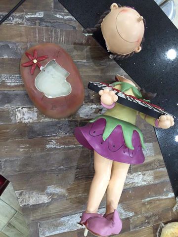 14264063_308983496153307_8779773145043371371_n