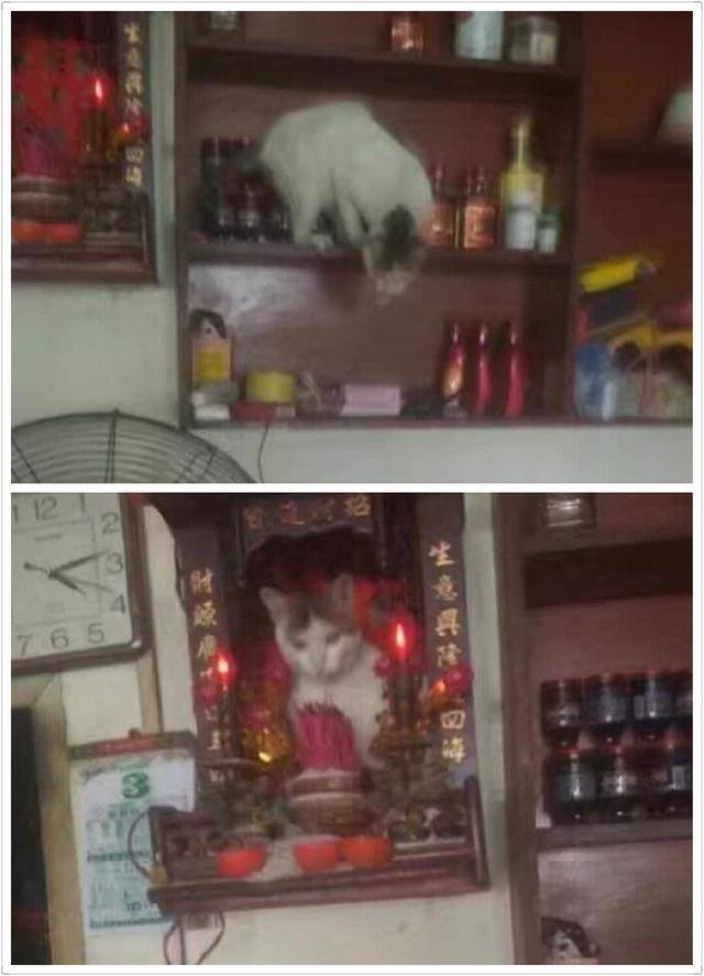 15095470_374998702850621_5830423166202092903_n