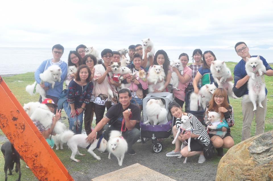 15219450_1239596776062325_8529726105724478595_n