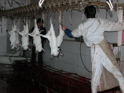 1_1479354858046_666826_ver1-0