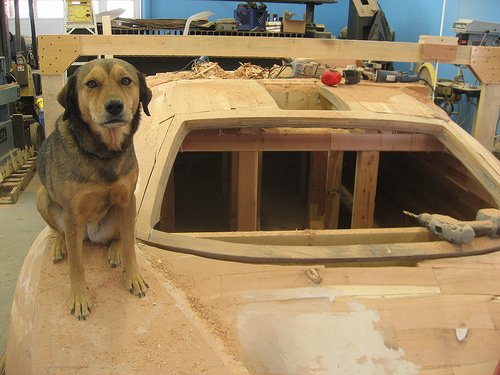 2086282071_d7e8ed2c3d