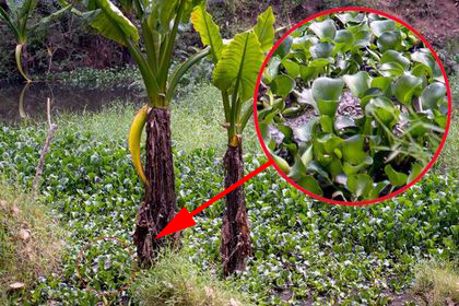 2_1480144980445_671714_ver1-0-1-copy