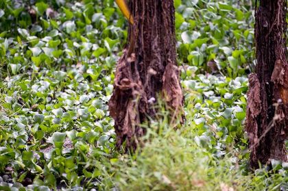 3_1480144980369_671713_ver1-0-1