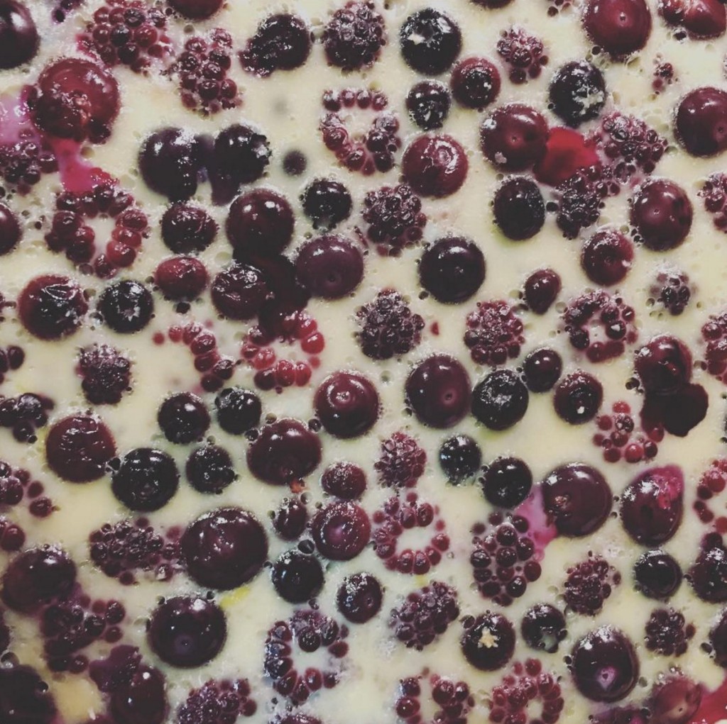 screen-shot-2016-11-21-at-3-54-34-pm