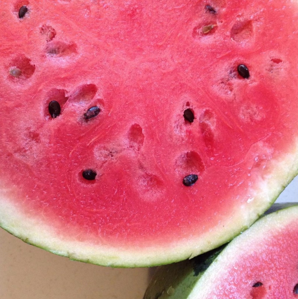 screen-shot-2016-11-21-at-3-55-16-pm