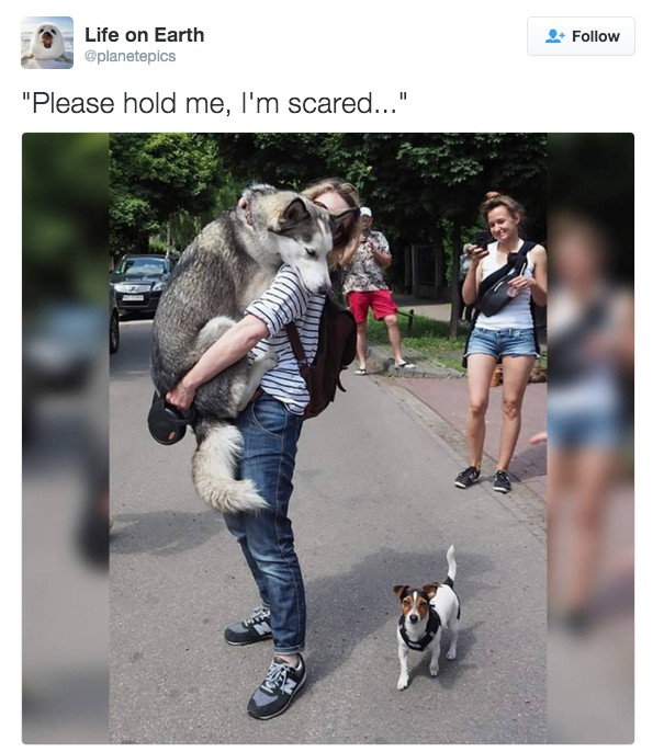 screen-shot-2016-11-21-at-5-05-28-pm