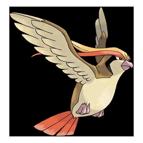bird_pokemon_pidgeot