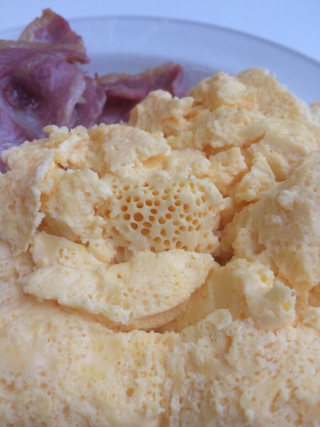 sub-buzz-14841-1479234466-7