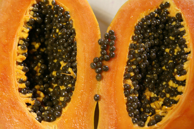 sub-buzz-32116-1479234782-1