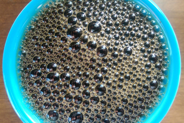 sub-buzz-6469-1479234522-1