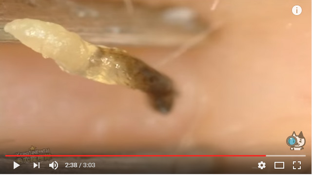 %e6%9c%aa%e5%91%bd%e5%90%8d-2