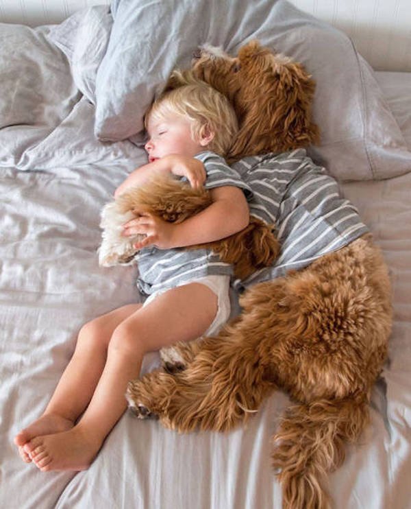 adorable_labradoodle_and_a_boy_are_best_buds_who_do_everything_together_640_01