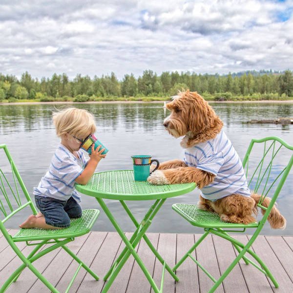 adorable_labradoodle_and_a_boy_are_best_buds_who_do_everything_together_640_02