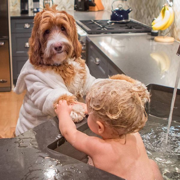 adorable_labradoodle_and_a_boy_are_best_buds_who_do_everything_together_640_03