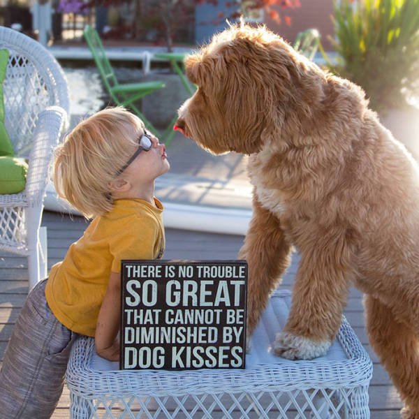 adorable_labradoodle_and_a_boy_are_best_buds_who_do_everything_together_640_06