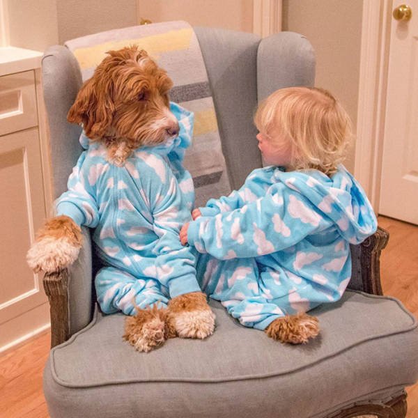adorable_labradoodle_and_a_boy_are_best_buds_who_do_everything_together_640_08