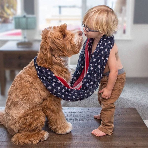adorable_labradoodle_and_a_boy_are_best_buds_who_do_everything_together_640_09