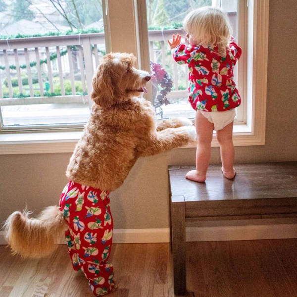 adorable_labradoodle_and_a_boy_are_best_buds_who_do_everything_together_640_10