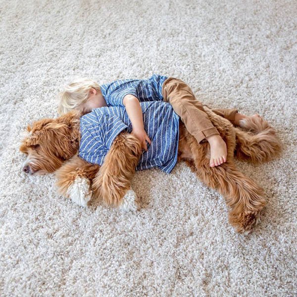 adorable_labradoodle_and_a_boy_are_best_buds_who_do_everything_together_640_11