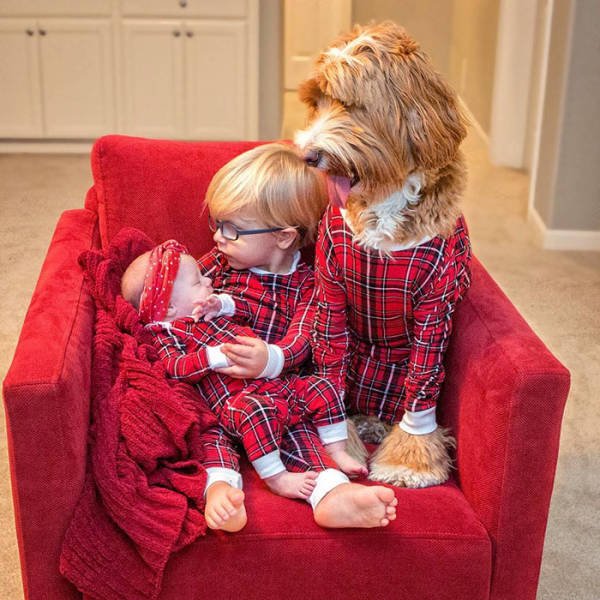 adorable_labradoodle_and_a_boy_are_best_buds_who_do_everything_together_640_12