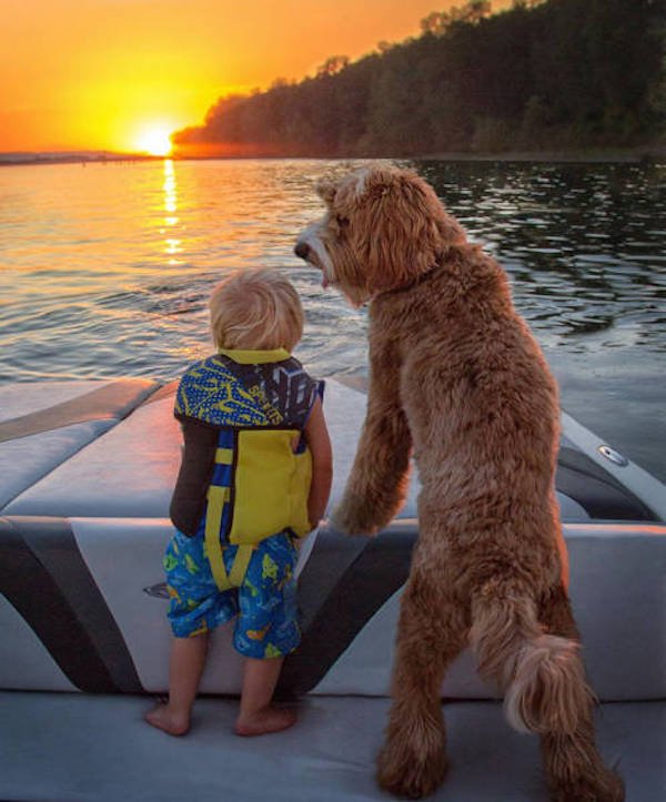 adorable_labradoodle_and_a_boy_are_best_buds_who_do_everything_together_640_13