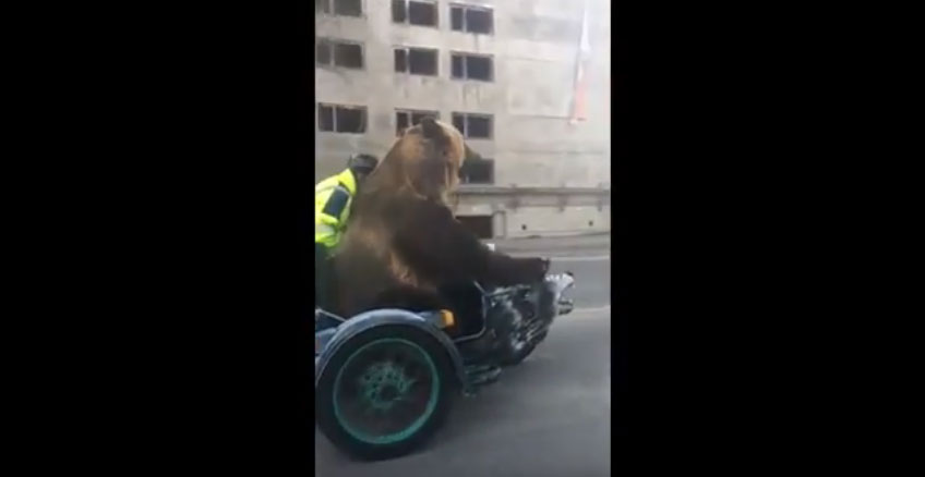 %e4%bf%84%e7%be%85%e6%96%af%e7%b6%b2%e5%8f%8b%e6%8b%8d%e5%88%b0%e7%86%8a%e7%86%8a%e6%90%ad%e4%b9%98%e6%91%a9%e6%89%98%e8%bb%8a