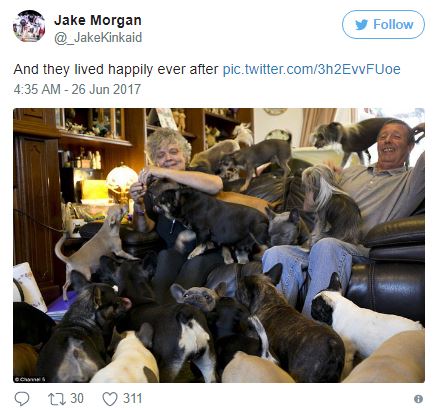 %e5%a4%ab%e5%a6%bb%e8%88%87%e7%8b%97%e7%8b%97