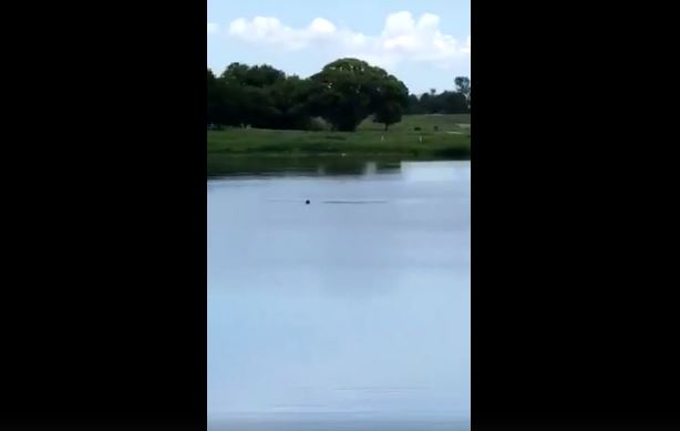 5%e5%b1%81%e5%ad%a9%e7%9c%8b%e4%ba%ba%e6%b7%b9%e6%ad%bb