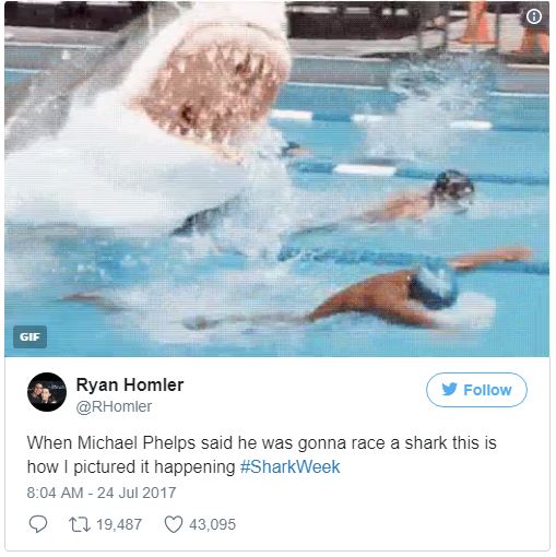 %e8%8f%b2%e7%88%be%e6%99%ae%e6%96%afvs%e5%a4%a7%e7%99%bd%e9%af%8a