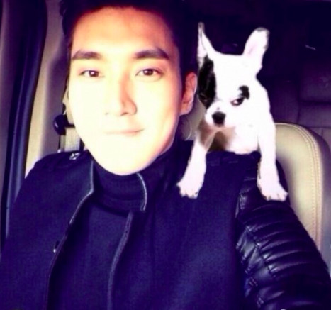 %e5%b4%94%e5%a7%8b%e6%ba%90%e6%84%9b%e7%8a%ac%e5%92%ac%e6%ad%bb%e9%84%b0%e5%b1%85